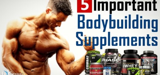 5 essential & best bodybuilding supplements to gain muscle fast